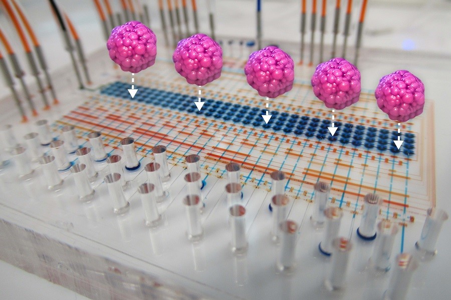 Grafik von Labor-Chip mit vergrößerten Zellkugeln.