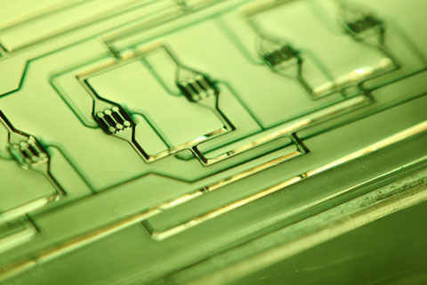 Bildquelle: NMI, T&uuml;bingen