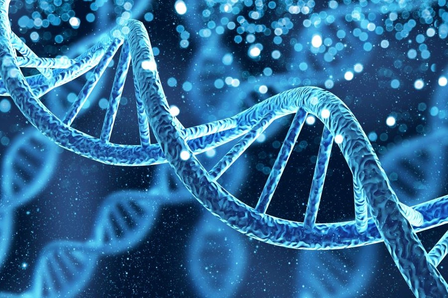 Grafische Darstellung einer DNA-Doppelhelix. Grafische Darstellung einer DNA-Doppelhelix.