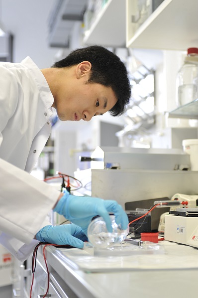 Medizinische Doktoranden sind aktiv in die Forschung eingebunden.