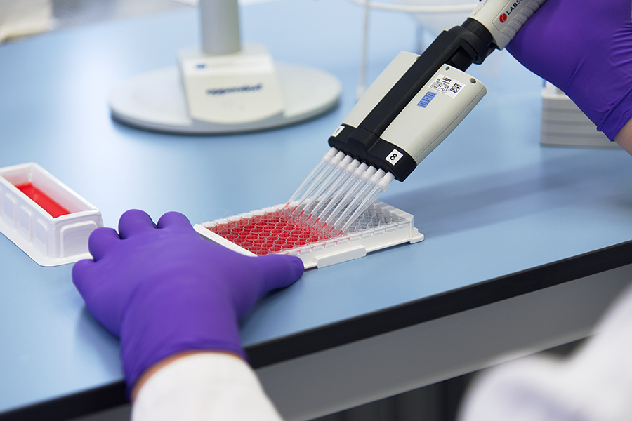 Kleine Mengen an Flüssigkeiten werden mit einer Mehrfachpipette pipettiert