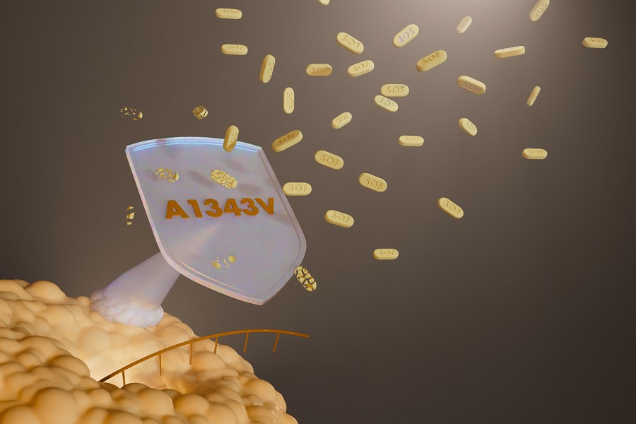 Grafische Darstellung des Abwehrmechanismus