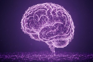 Computergrafik mit einem Gehirn, auf dem Verkn&uuml;pfungspunkte zu sehen sind, mit KI erstellt