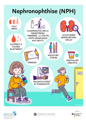 Grafische Darstellung der wichtigsten Krankheitsmerkmale der Nephronophthise.