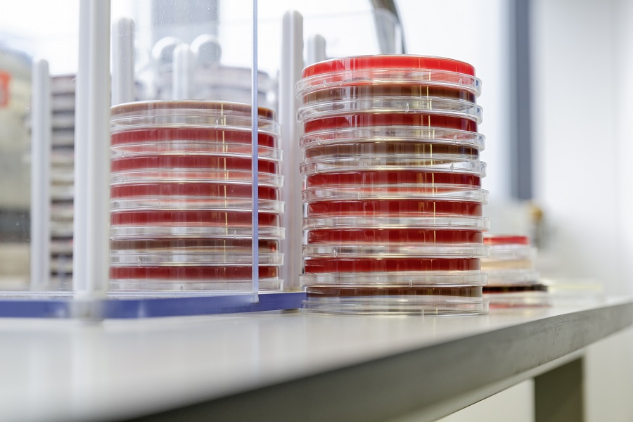  Petrischalen stehen gestapelt auf einer Fensterbank. 