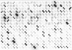 Bildquelle: Philipps-Universit&auml;t Marburg