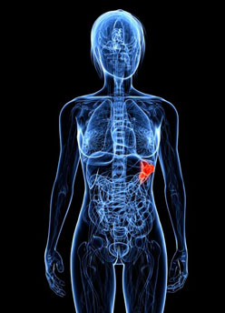 Copyright: Thinkstock