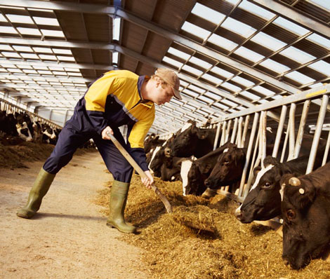 Bildquelle: Thinkstock Bildquelle: Thinkstock