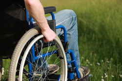 Bildquelle: Thinkstock Bildquelle: Thinkstock