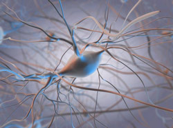 Bildquelle: Thinkstock Bildquelle: Thinkstock