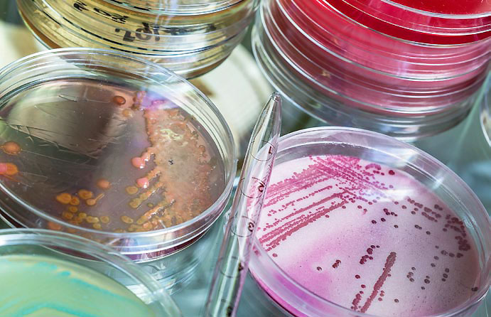 Antimikrobielle Peptide k&ouml;nnen dazu beitragen, Bakterien zu bek&auml;mpfen. Besonderes im Kampf gegen antibiotikaresistente Keime k&ouml;nnten sie hilfreich sein.