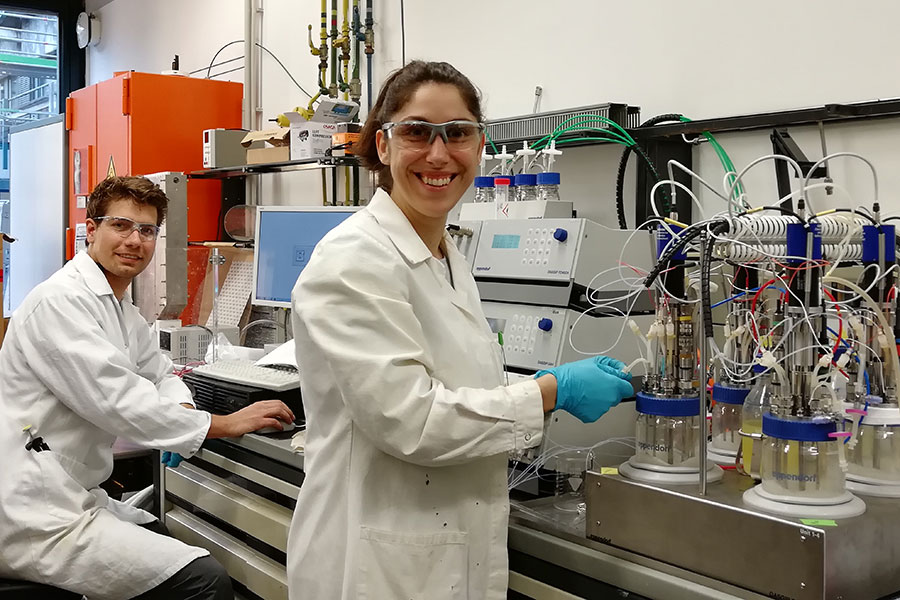 Die Doktoranden Katharina Kemper und Max Hirte testen die Produktionseffizienz der genetisch optimierten Kolibakterien.