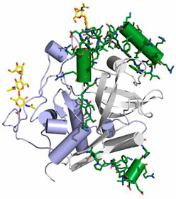 Bildquelle: Karol Nass, CFEL