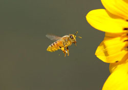Bildquelle: Thinkstock Bildquelle: Thinkstock