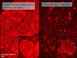 Bildquelle: Universitätsmedizin Göttingen/Oliver Gross Bildquelle: Universitätsmedizin Göttingen/Oliver Gross