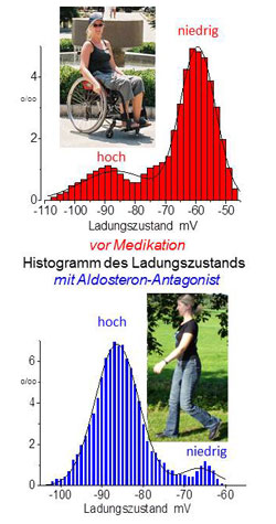 Bildquelle: Universität Ulm Bildquelle: Universität Ulm