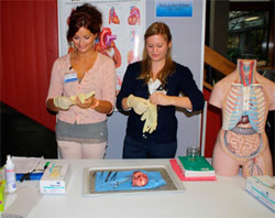 Bildquellen: MHH Patientenuniversität Bildquellen: MHH Patientenuniversität