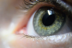 Bildquelle: Thinkstock Bildquelle: Thinkstock