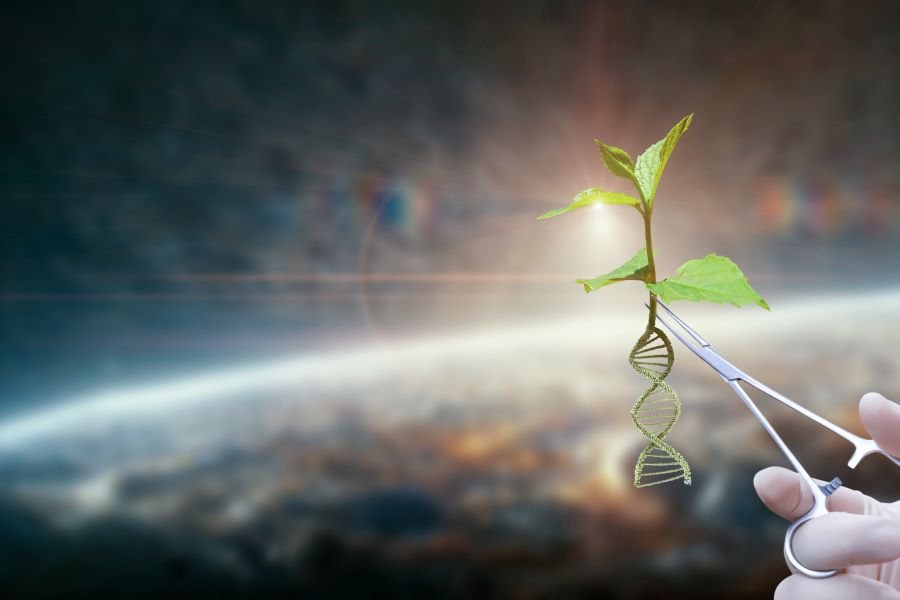 Eine Pflanze mit fünf Blättern und einer Wurzel, die als Doppelhelix-DNA dargestellt ist, wird von einer OP-Schere gehalten. Als Hintergrund ist leicht verschwommen der Horizont der Erde als Weltraumbild gewählt. Eine Pflanze mit fünf Blättern und einer Wurzel, die als Doppelhelix-DNA dargestellt ist, wird von einer OP-Schere gehalten. Als Hintergrund ist leicht verschwommen der Horizont der Erde als Weltraumbild gewählt.