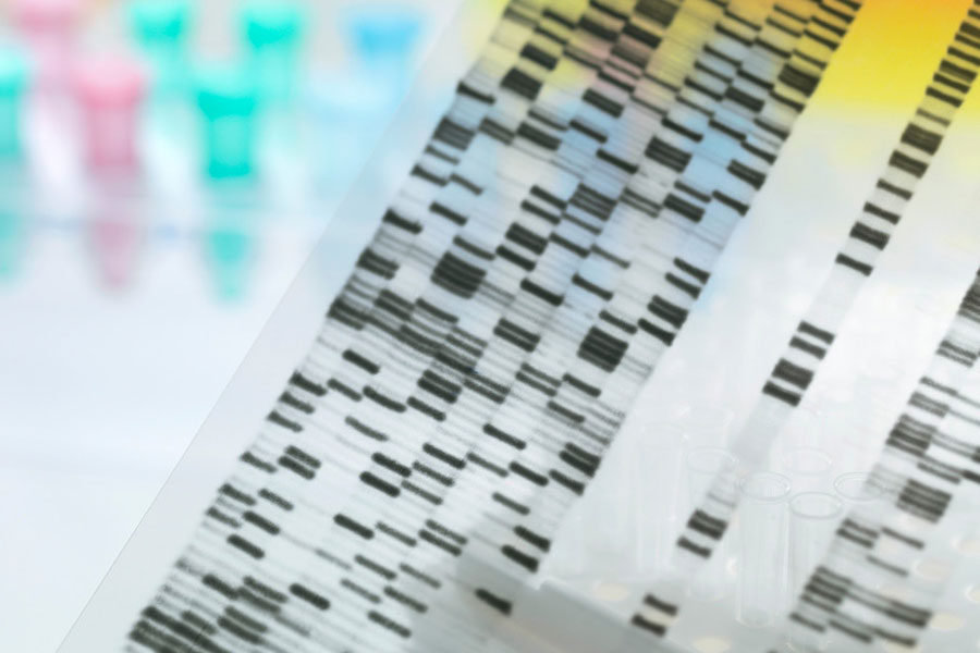 Bandenmuster der Erbinformation auf einem Röntgenfilm