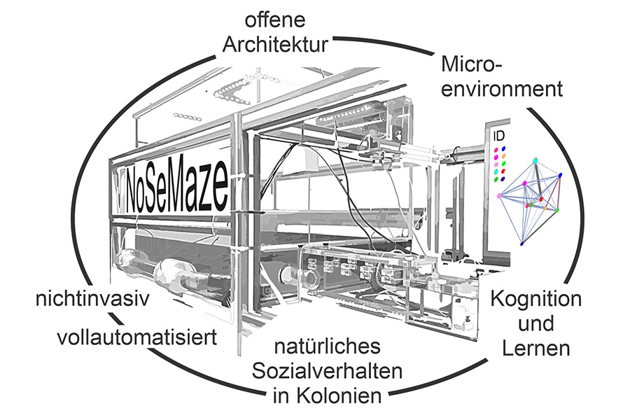 Grafik von Professor Dr. Kelsch Copyright: Dr. Wolfgang Kelsch; Eigene Darstellung