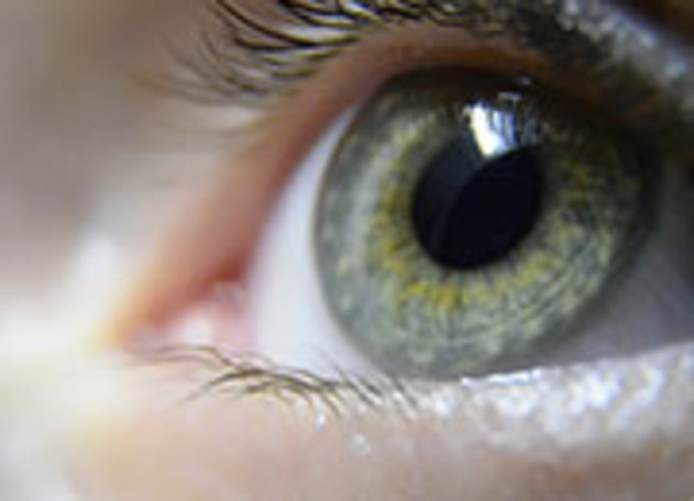 1_Auge