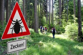 Im Hintergrund sieht man Wanderer in einem Wald, im Vordergrund steht ein Warnschild "Vorsicht Zecken"