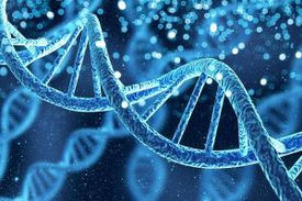 Grafische Darstellung einer DNA-Doppelhelix.