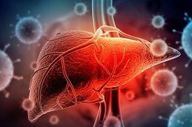 Grafische Darstellung einer Leber, die von Viren umgeben ist