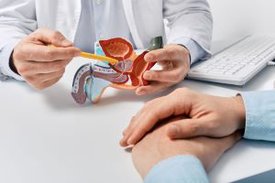 Ein Mediziner erklärt einem Patienten anhand eines anatomischen Prostata-Modell den geplanten Eingriff.