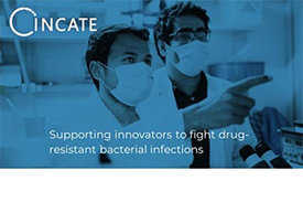 Logo INCATE