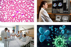 Fotos der Bilddatenbank