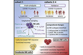 Graphical Abstract: - Abbildung aus dem Journal "Immunity"