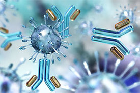 Viren und Antkörper