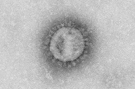 Coronavirus