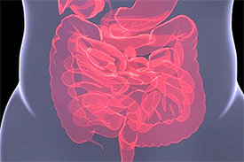 Wo das Coronavirus im Darm andockt