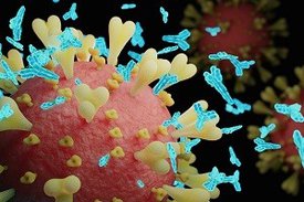 Bunte Grafik eines Virus