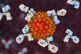 Coronaviren