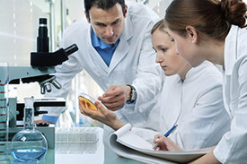 Forscherinnen und Forscher betrachten Laborergebnisse.