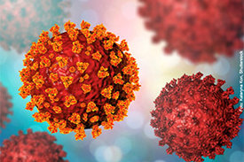 Wie sich COVID-19 besser behandeln lässt erforschen zwei neue Projekte an der Goethe-Universität. 