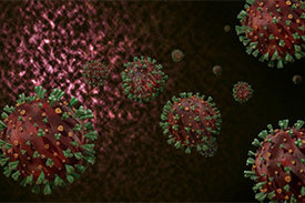 Coronavirus SARS-CoV-2