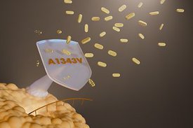 Grafische Darstellung des Abwehrmechanismus