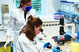 Forscherinnen am Mikroskop