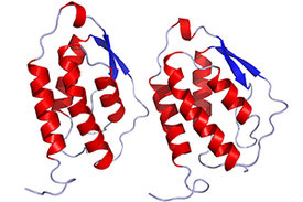 Grafische Darstellung des Botenstoffs GM-CSF in den Farben rot, blau und grau. 