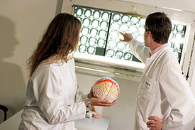 Multiple Sklerose-Erkrankung