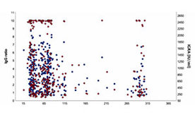 Neue Daten zur Langzeit-Immunität von COVID-19-Infizierten