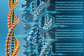 Die Erforschung seltener Erkrankungen profitiert besonders von den modernen Methoden der Genetik. Denn seltene Erkrankungen sind größtenteils genetischen Ursprungs.