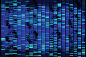 Durch eine Analyse des Tumorerbguts zum Zeitpunkt des Rückfalls können die Forschenden herausfinden, was den Tumor zum Wachsen anregt und ob dem Kind möglicherweise neue, zielgerichtete Medikamente helfen können.