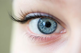 rechtes Auge