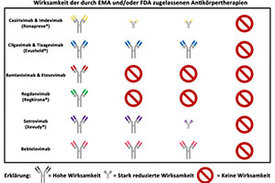 Omikron Untervariante BQ.1.1